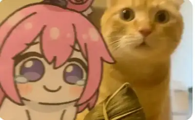 Doro 与橘猫